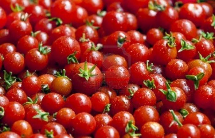 лучшие сорта томатов черри