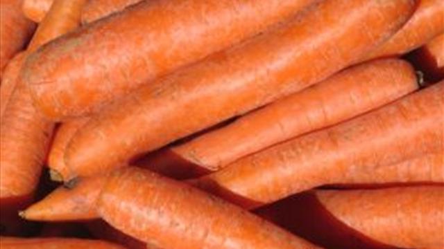 сорта моркови для хранения