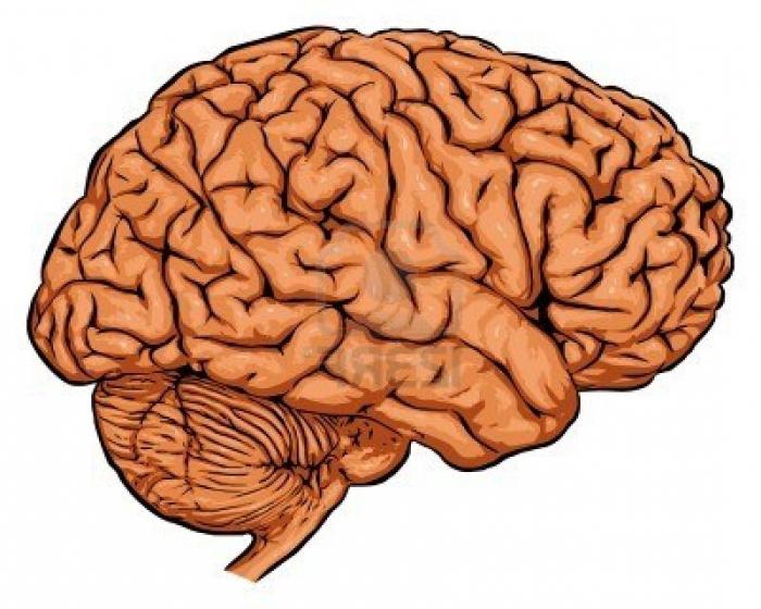 гипоксия головного мозга лечение