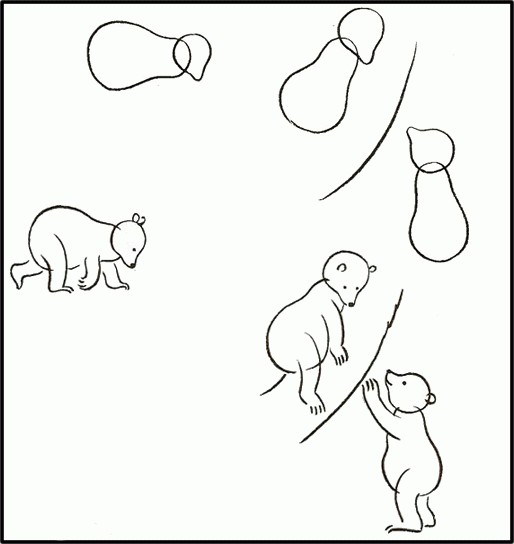 как нарисовать животных поэтапно