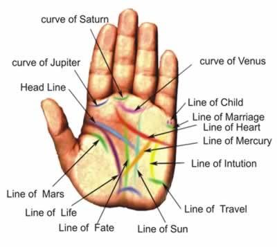 гадание по руке линия жизни
