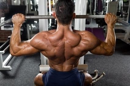широчайшие мышцы спины