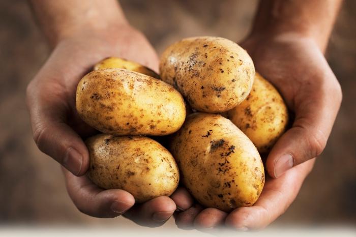 картофельные шарики
