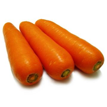 семена морковки