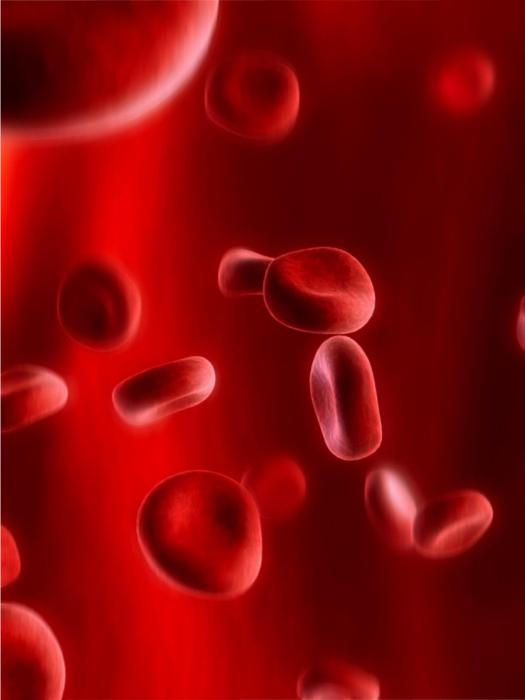 как повысить гемоглобин в крови