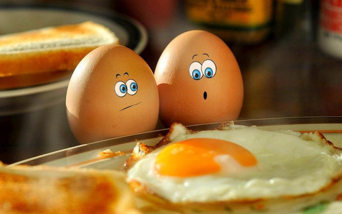 Картинки по запросу 10 интересных фактов о яйцах