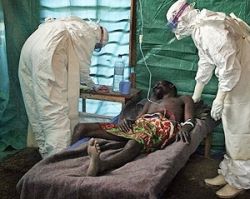 Смертельный вирус Эбола и омская геморрагическая лихорадка