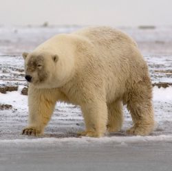 Оригинальное поздравления с днем рождения коллеге девушке Оригинальное поздравления с днем рождения коллеге девушке