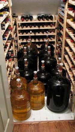 Вино из ранеток в домашних условиях рецепт Вино из ранеток в домашних условиях рецепт