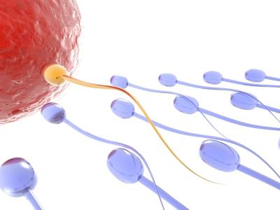 как улучшить качество спермы