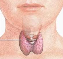 аденома щитовидной железы