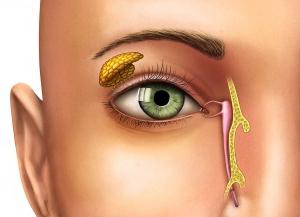 болезни глаз у людей