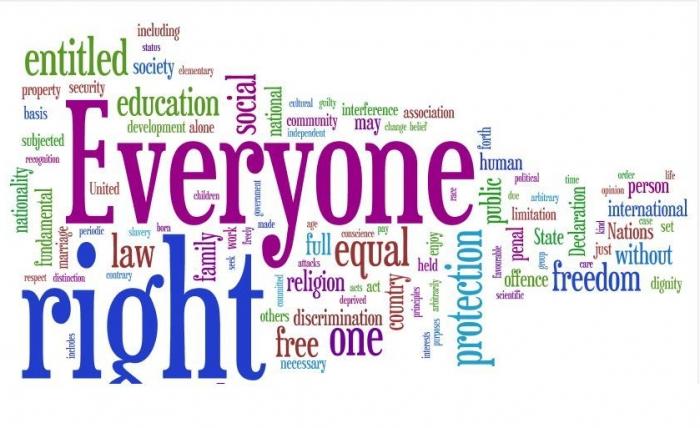 Всеобщая декларация прав человека общая характеристика