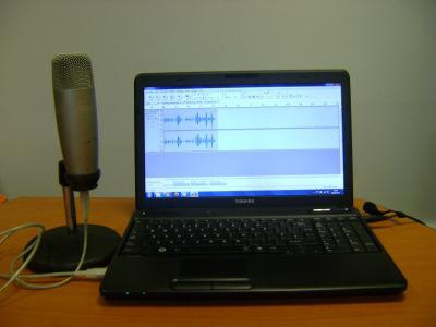 программы для записи звука с микрофона