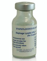 бактериофаг стафилококковый в таблетках
