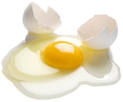 сколько белков в яйце 