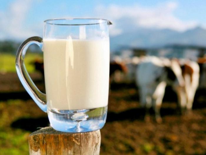 как очищать самогон от сивушных масел молоком