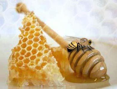 бизнес план пчеловодство