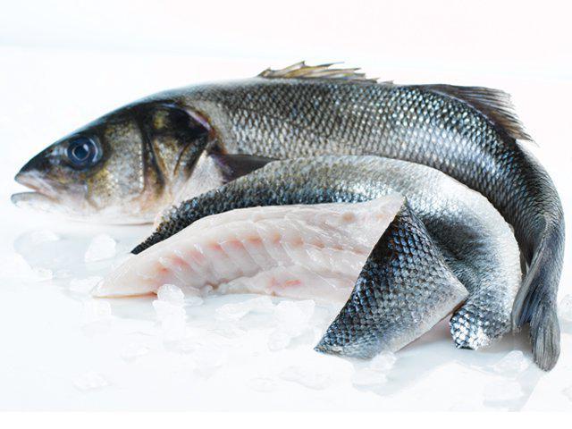 сибас рыба