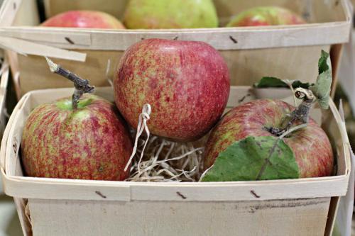 Как хранить яблоки на зиму