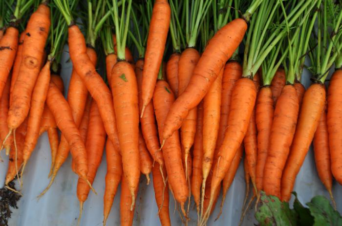 салат из помидор и моркови 