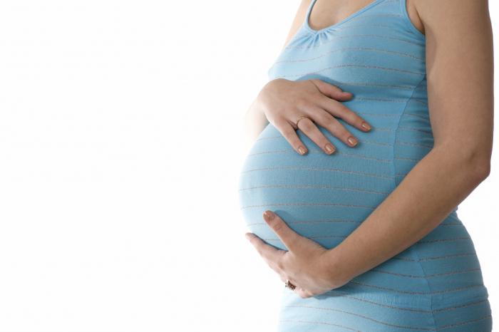 шевеление плода при беременности