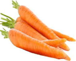 польза моркови