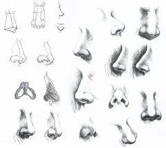 как правильно рисовать нос