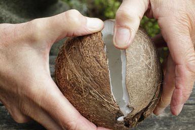 как открыть кокос без молока