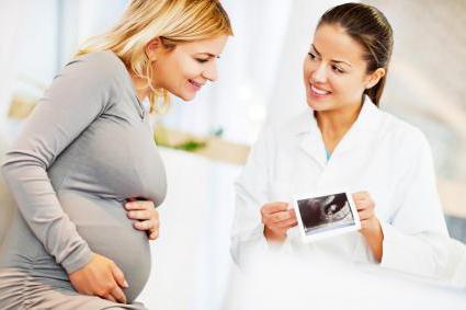 беременность 24 недели развитие плода 