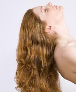 Функции волосяного. Человеческий волос: состав, структура, строение