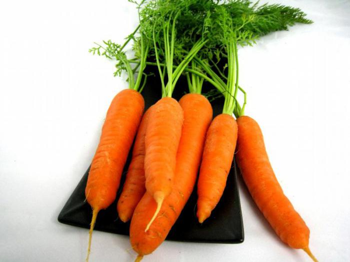 Польза ботвы моркови