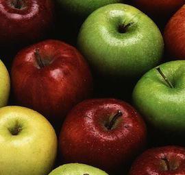 болезни яблони