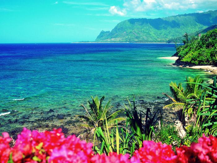 отдых на гавайских островах