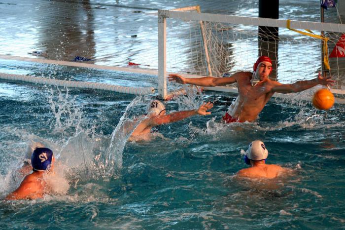 водные виды спорта