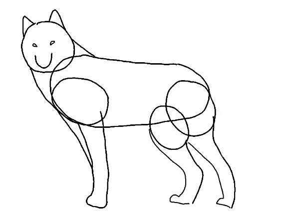 Как нарисовать волка карандашом 