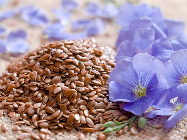 полезные свойства льняного семени и его применение