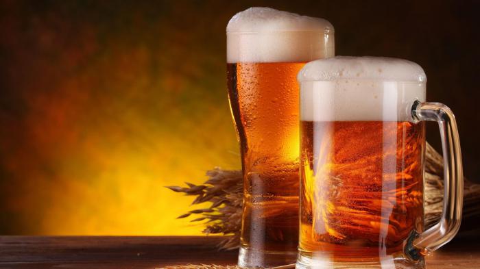 Можно ли потолстеть от пива? Развеиваем все мифы