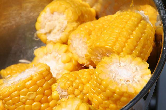 калорийность молодой вареной кукурузы