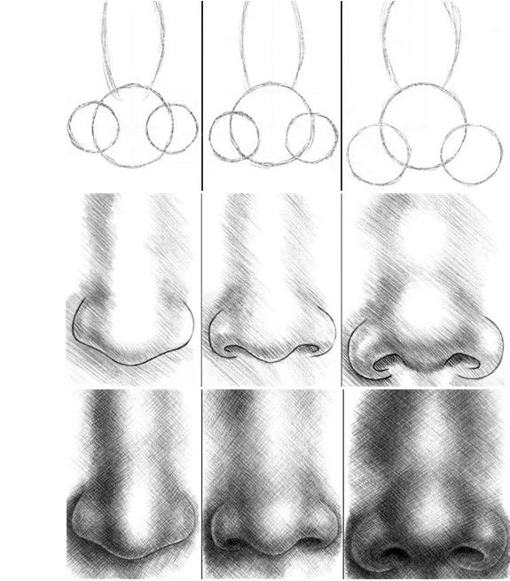 как нарисовать нос поэтапно