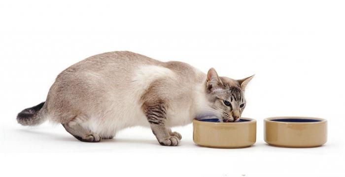 питание котов при мочекаменной болезни 