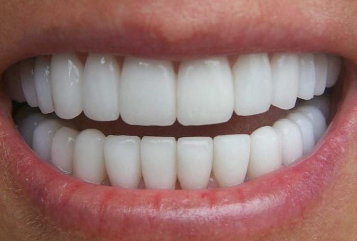 строение зуба человека