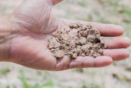 дерново подзолистые почвы состав