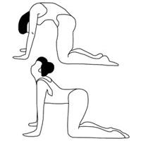 гимнастика для укрепления мышц спины