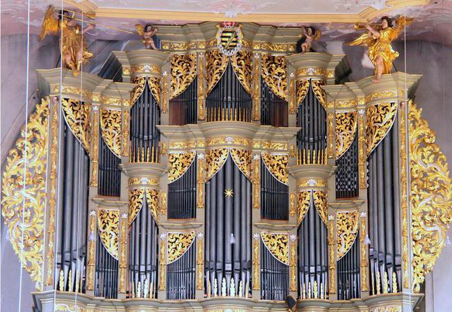 История органа музыкального инструмента