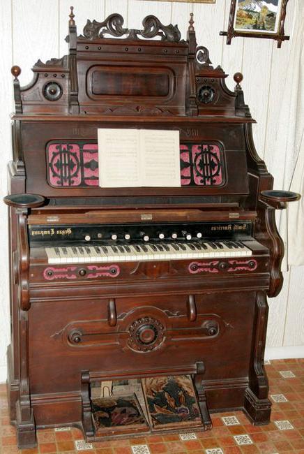 Описание органа музыкального инструмента