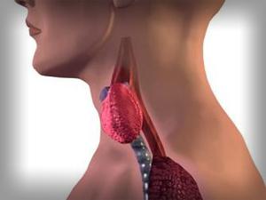 Повышенной функции щитовидной железы 