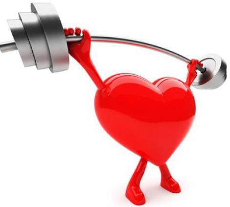 как укрепить сердечную мышцу