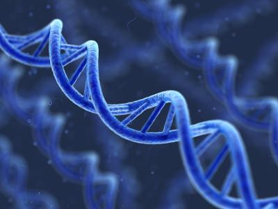 цитогенетический метод исследования генетики человека