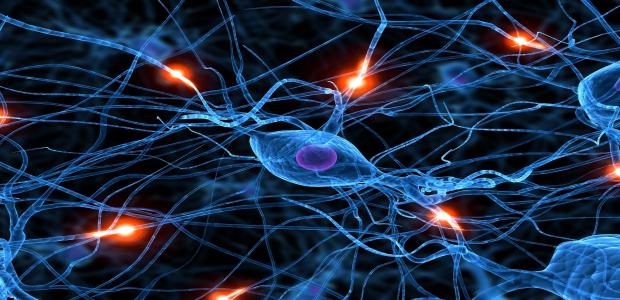 Восстановление нервных клеток головного мозга